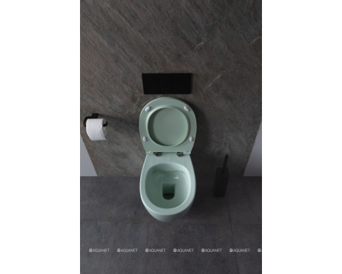 Унитаз подвесной Allen Brau Fantasy 4.11004.MT мятный