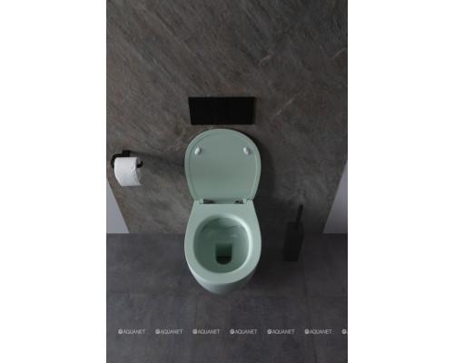 Унитаз подвесной Allen Brau Fantasy 4.11004.MT мятный