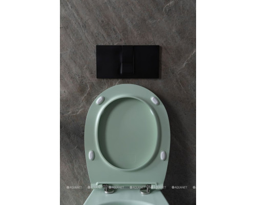 Унитаз подвесной Allen Brau Fantasy 4.11004.MT мятный