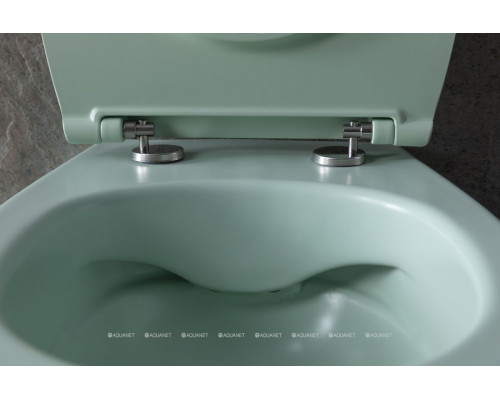 Унитаз подвесной Allen Brau Fantasy 4.11004.MT мятный