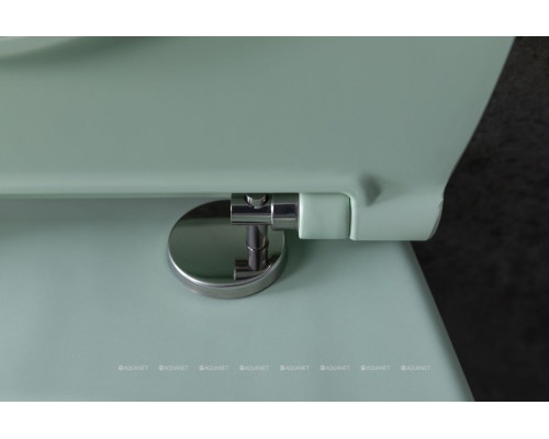 Унитаз подвесной Allen Brau Fantasy 4.11004.MT мятный