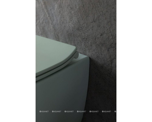 Унитаз подвесной Allen Brau Fantasy 4.11004.MT мятный