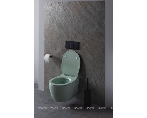 Унитаз подвесной Allen Brau Fantasy 4.11004.MT мятный