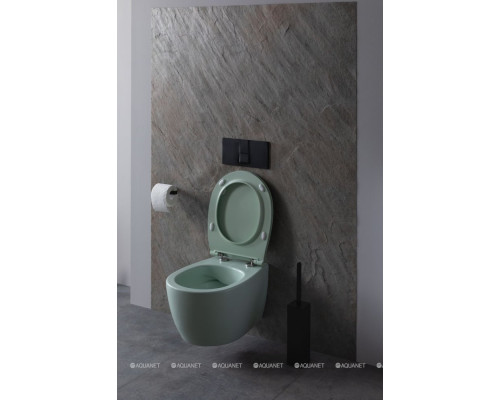 Унитаз подвесной Allen Brau Fantasy 4.11004.MT мятный