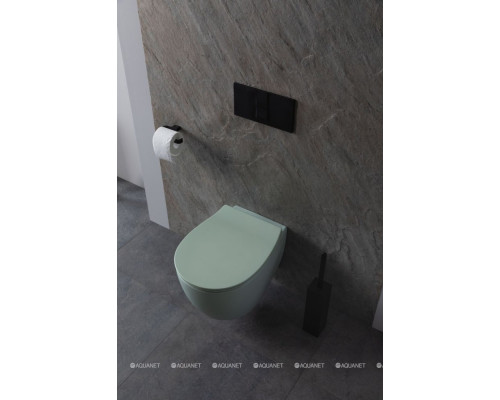 Унитаз подвесной Allen Brau Fantasy 4.11004.MT мятный