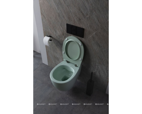 Унитаз подвесной Allen Brau Fantasy 4.11004.MT мятный