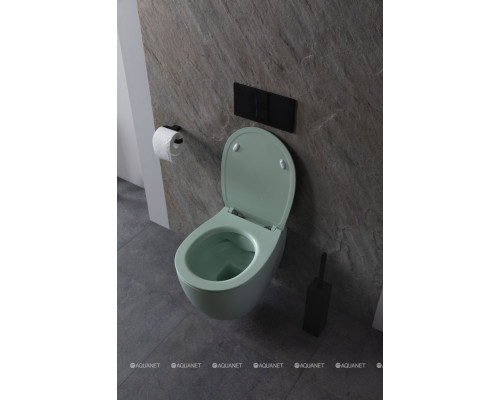 Унитаз подвесной Allen Brau Fantasy 4.11004.MT мятный