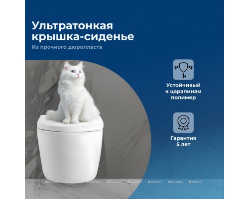 Унитаз подвесной Aquanet ZVEZDA-2 ZV-2 белый