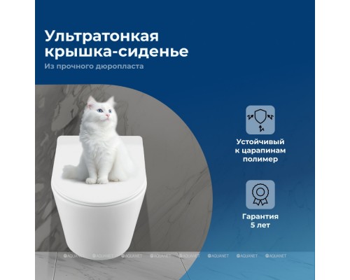 Унитаз подвесной Aquanet Cetus W Short Tornado