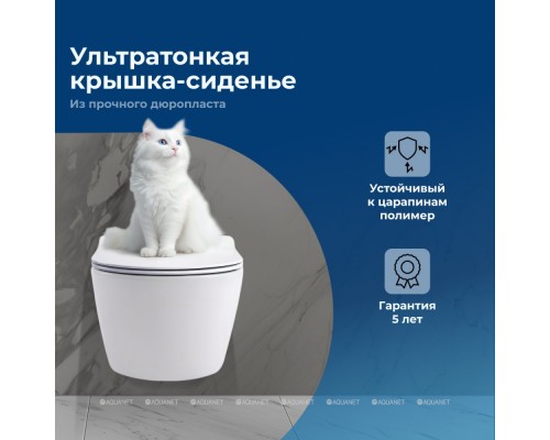 Унитаз подвесной Aquanet Smart W Tornado