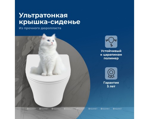 Унитаз подвесной Aquanet ZVEZDA ZV-3 белый