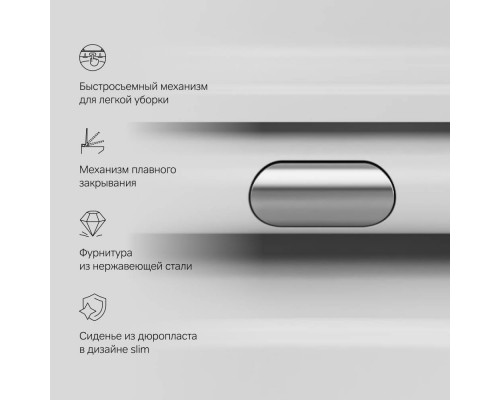 C8F1700SC Унитаз подвесной FlashClean с сиденьем микролифт