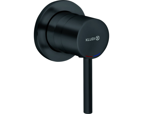 Смеситель для душа Kludi Bozz 389253976 черный