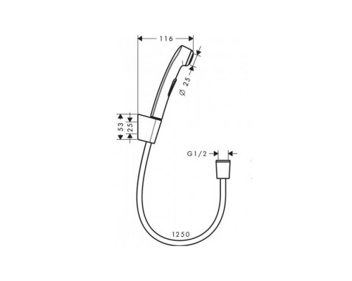 Hansgrohe Гигиенический душ 1jet, со шлангом 1.25м и настенным держателем, цвет: полированное золото. 32129990