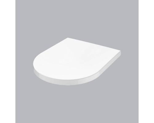 C117852WH Сиденье для унитаза с микролифтом, быстросъемное