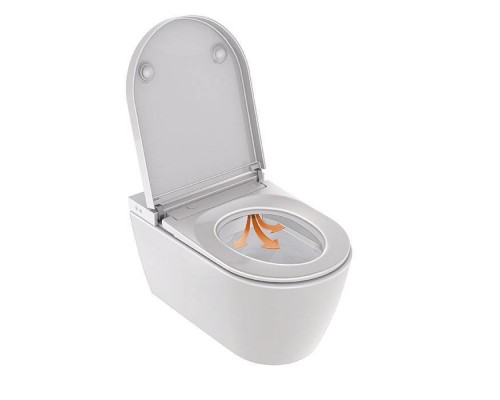 Duravit Starck F Plus Унитаз подвесной, безободковый, с сиденьем Sensowash, инсталляцией и клавишей с системой автосмыва, с покрытием Hygieneglaze, цвет: белый. 612000012002360, 2510092096, WD1039000060, WD5013012060 Duravit Starck F Plus Унитаз подвесной, безободковый, с сиденьем Sensowash, инсталляцией и клавишей с системой автосмыва, с покрытием Hygieneglaze, цвет: белый. 612000012002360, 2510092096, WD1039000060, WD5013012060