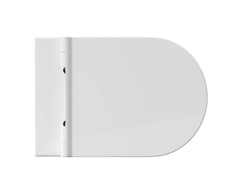 Alice Form Унитаз 50х35см., подвесной, безободковый, без сиденья и крышки, цвет: белый глянцевый. 22300101,  FIX10