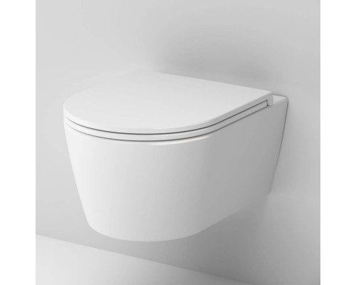 C8F1700SC Унитаз подвесной FlashClean с сиденьем микролифт