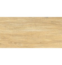 Плитка настенная AltaCera Elemento Cedar глянцевая 25х50