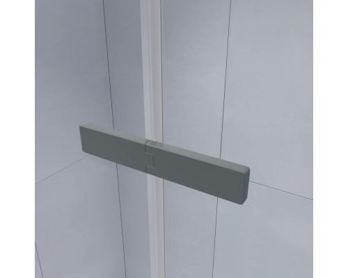 Душевой уголок с распашной дверью на петлях - RGW SV-040Gr 1200x900