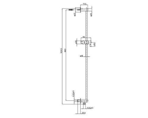 Bossini Штанга для душа 90см., с подводом воды и держателем ручного душа, регулируемым по высоте, цвет хром. D39000.030