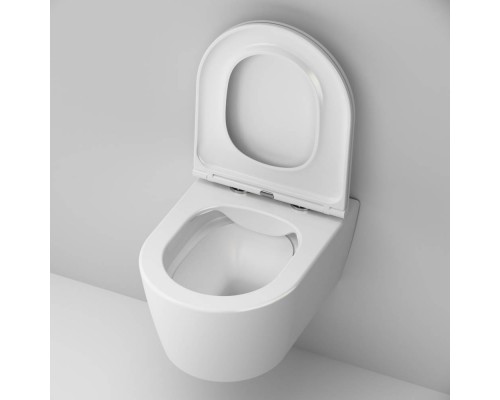 C8F1700SC Унитаз подвесной FlashClean с сиденьем микролифт