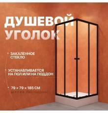 Душевой уголок DIWO Анапа 80х80, профиль черный матовый