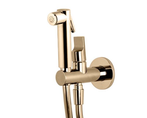 FIMA Carlo Frattini Collettivita Гигиенический душ со смесителем, шланг 120см, цвет: золото. F2645,  F2320/1NOR