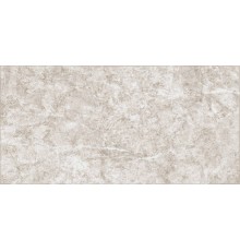 Плитка настенная Alma Ceramica Trevis TWU09TVS414 матовая 24,9х50 коричневая