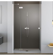 Душевая дверь в нишу Radaway Essenza New DWJ 100 L
