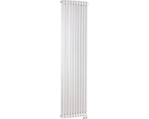Радиатор стальной Arbonia 2180/10 N69 твв, 2 -трубчатый , нижняя подводка, встроенный вентиль