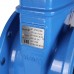 Задвижка Tecofi аналог МЗВ VOC4241C Ду250 Ру16 (VOC4241C-00EP0250)