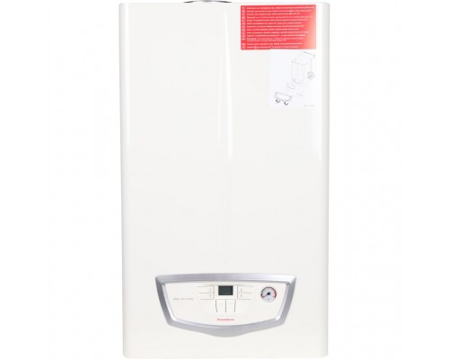 Газовый настенный котел Immergas Nike Mythos 24 3 R двухконтурный, атмосферный (3.026938)