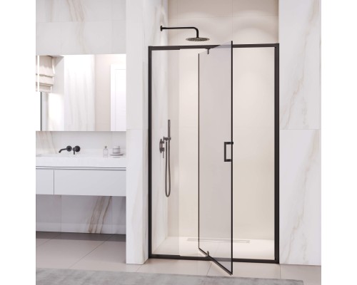 Душевая дверь RGW PA-008B 1200