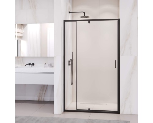 Душевая дверь RGW PA-008B 1200
