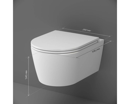 C8F1700SC Унитаз подвесной FlashClean с сиденьем микролифт
