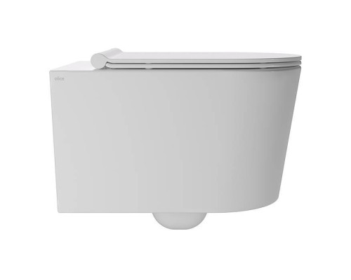 Alice Form Унитаз 50х35см., подвесной, безободковый, без сиденья и крышки, цвет: белый глянцевый. 22300101,  FIX10