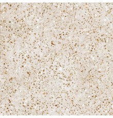 Керамогранит Alma Ceramica Peru GFU04PER04R 60x60 бежевый, матовый