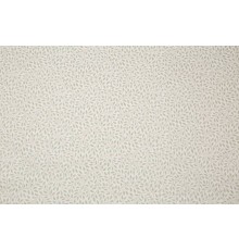 Обои Home color Mini-liana HC72131-17