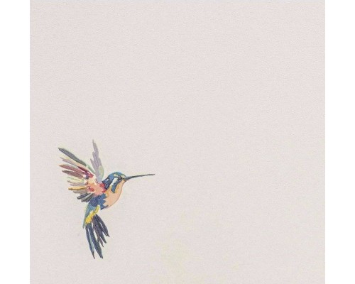 Обои Andrea Rossi Spectrum Plus 54356-1