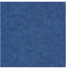Обои Caselio Beton 101486568