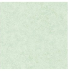 Обои Caselio Beton 101487400