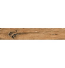 Керамогранит ABSOLUT GRES Wildwood Ocher 20x120 матовый