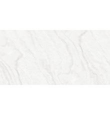 Керамогранит ABSOLUT GRES Silver Onix 60x120 полированный