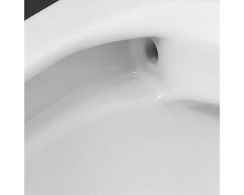 Duravit Soleil by Starck Унитаз подвесной 54х37см, безободковый, HygieneFlush, сиденье микролифт, цвет: белый. 45910920A1