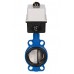 Затвор дисковый Danfoss VFY-WA Ду250 Ру16. 082G7412