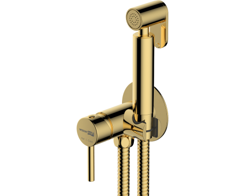 Гигиенический душ Wasserkraft Sauer A70738 со смесителем, С ВНУТРЕННЕЙ ЧАСТЬЮ, глянцевое золото PVD