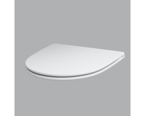 C117853WH Сиденье для унитаза быстросъемное с микролифт
