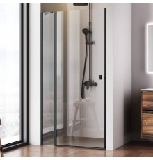 Душевая дверь в нишу AM.PM Sunny W87G-100-1P-BT, 100 см