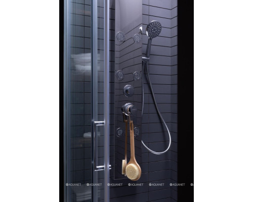 Душевая дверь Aquanet Alfa NAA6121 120, прозрачное стекло